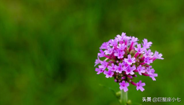 受委屈，被汙衊，不屑解釋的星座：清者自清，懂得人自然懂，夠拽