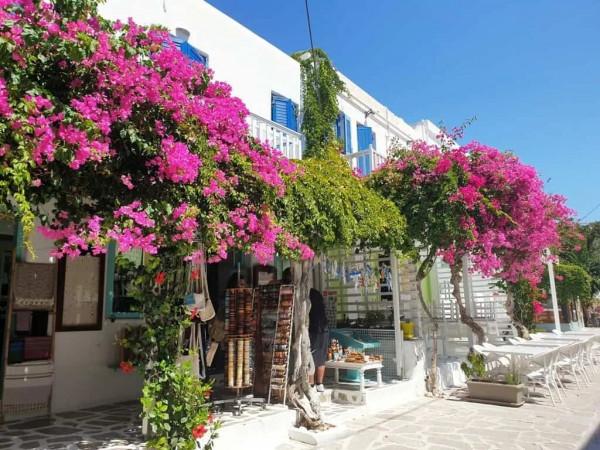 多數人不知道希臘這10座度假島嶼，去過三個都是旅遊大神