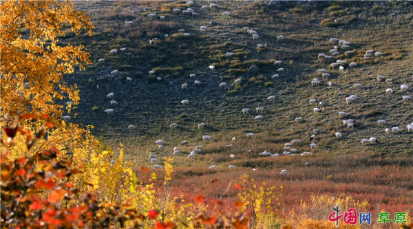 在怪山體驗,秋天的正確開啟方式 在怪山體驗,秋天的正確開啟方式