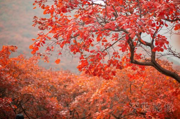 石門坊最美紅葉 石門坊最美紅葉