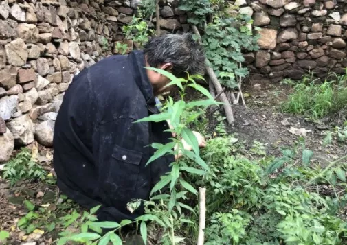 俗話說：“左跳財右跳災，左眼一跳運自來”，啥意思？有道理嗎？