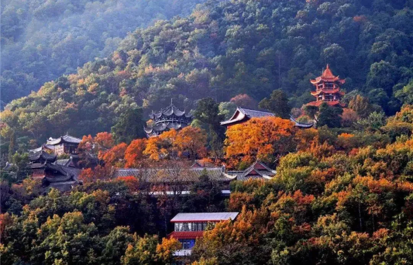 抓住假期的尾巴，來一趟生態遊，放鬆從&OpenCurlyDoubleQuote;森&rdquo;呼吸開始