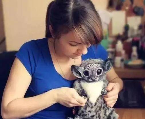 鑑賞｜藝術書皮