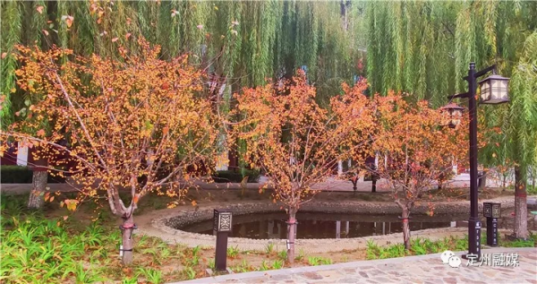 這樣的定州,也太美了吧 這樣的定州,也太美了吧