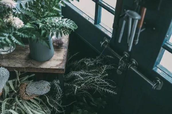 25歲，開始焦慮了