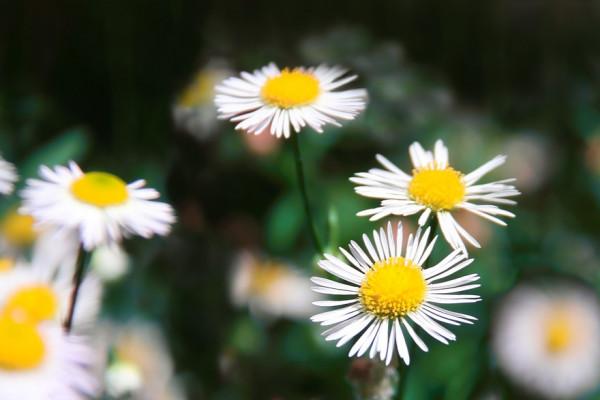 一個人情商高的表現，無非四個字：懂得拒絕