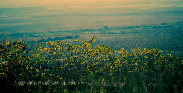 古詩山行的詩意,十二首有關山行的詩詞,欣賞山中美麗的秋色 古詩山行的詩意,十二首有關山行的詩詞,欣賞山中美麗的秋色