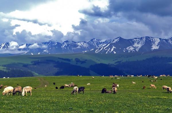 內蒙古真的到處都是一望無際的大草原嗎？