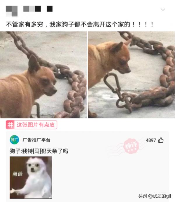 神回覆:“為什麼白酒不能冰鎮著喝?”網友:就是有點費人 神回覆:“為什麼白酒不能冰鎮著喝?”網友:就是有點費人