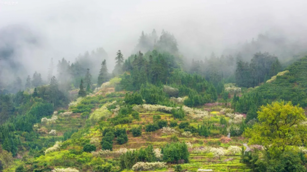 每到秋天,廣東的一些地方就變成了夢幻的童話 每到秋天,廣東的一些地方就變成了夢幻的童話