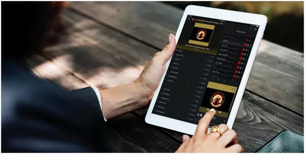 iPort讓iPad的存在更加完美