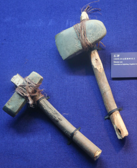 網紅黑猩猩會洗衣、剪指甲，人們感到擔憂，它會變成新型人類嗎？