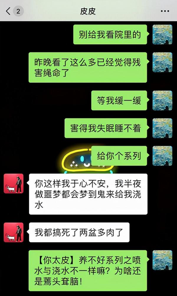 「皮皮太皮」養不好系列:多肉水了,葉片掉了,枝幹枯了,錯哪了 「皮皮太皮」養不好系列:多肉水了,葉片掉了,枝幹枯了,錯哪了