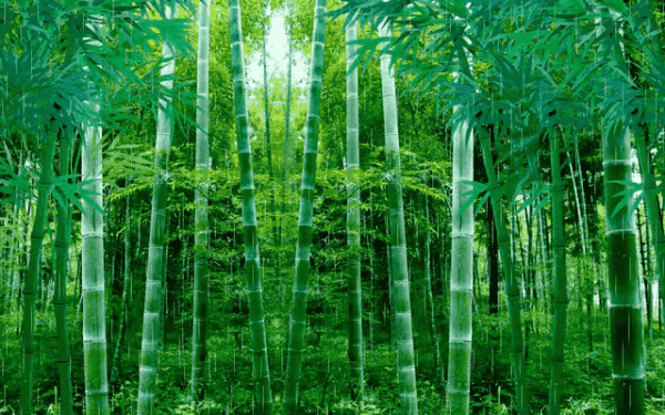 人生不易，且行且珍惜