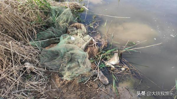 一個人毀掉一條河，口出狂言無人管？釣魚人：和諧社會救了他