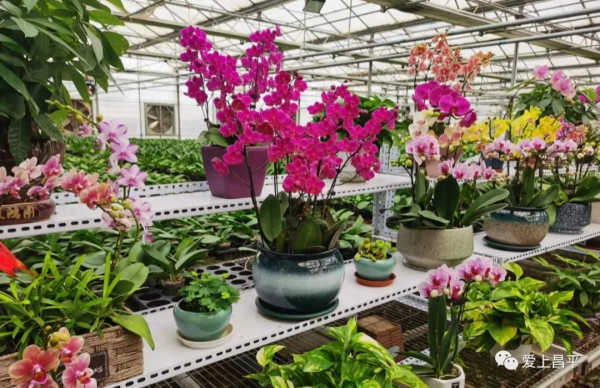 打卡新去處！京北這個超大的農業科普館，豐富有趣活動來襲~