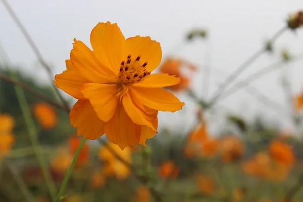 福，在心不在物；命，在人不在天