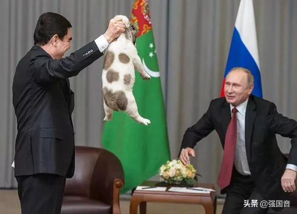 比普京有魅力的總統，邀請好萊塢女星慶生，他過著怎樣的生活