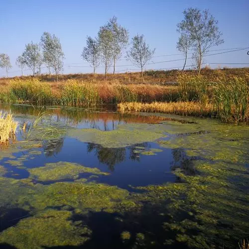 冬季找魚思路，這幾處有特點的釣位需注意，大鯽魚很可能就在下面