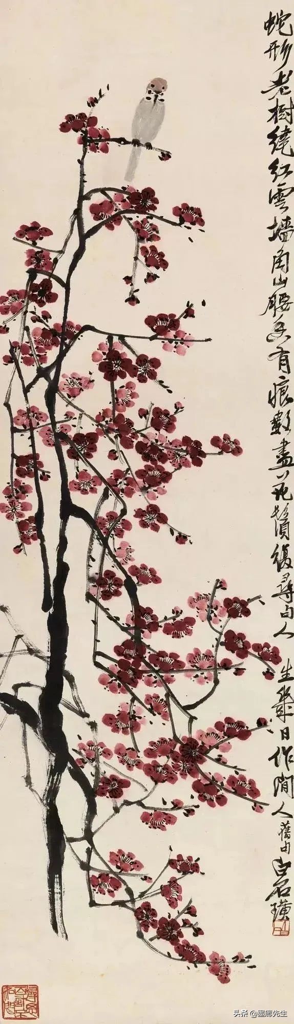 齊白石、徐悲鴻、黃胄三位大師畫麻雀各有品味 齊白石、徐悲鴻、黃胄三位大師畫麻雀各有品味