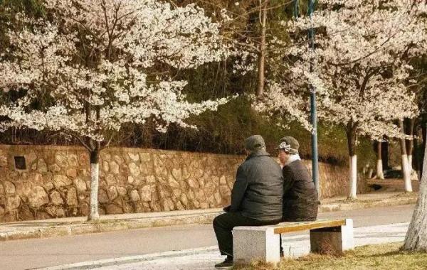 現代詩《此愛無計可消除》 現代詩《此愛無計可消除》