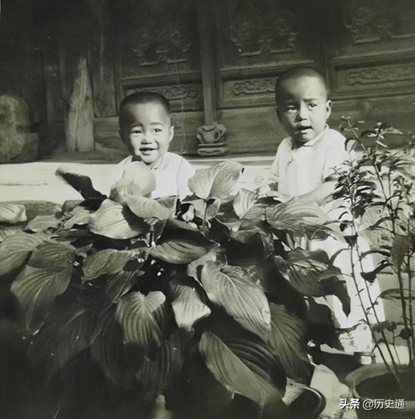 年輕女主人抑鬱而終,留下幼子,忠心僕人甘願撫養,直到終老 年輕女主人抑鬱而終,留下幼子,忠心僕人甘願撫養,直到終老