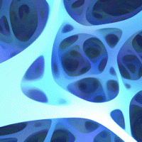 Android 13 首個開發者預覽版到來