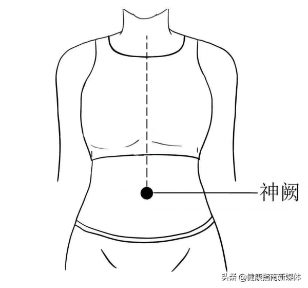 神闕穴：內臟神經網路的宮殿