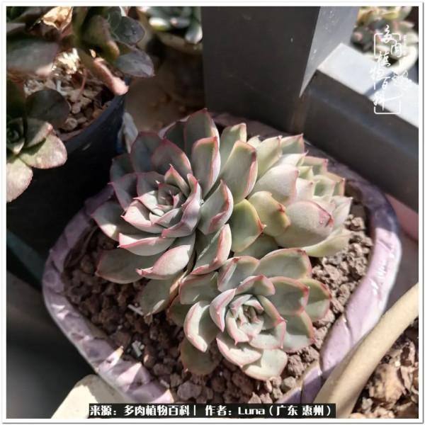 學會和解:與自己、與他人、與世界 學會和解:與自己、與他人、與世界