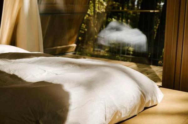 日本小房子採用蜂窩狀框架，讓客人沉浸在大自然中