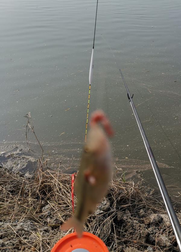 惡劣天氣也阻擋不了釣魚人的腳步，餵魚時刻準備著……