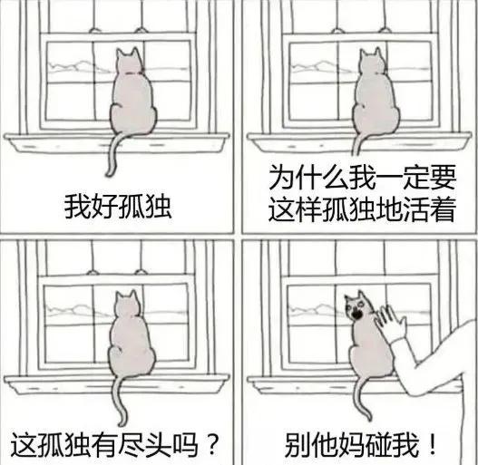 神評家--美男子尹正