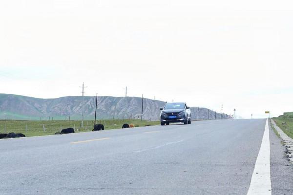 標緻4008環青海長測Day9：鳥島叫“蚊子島”，沿青海沿線達剛察！