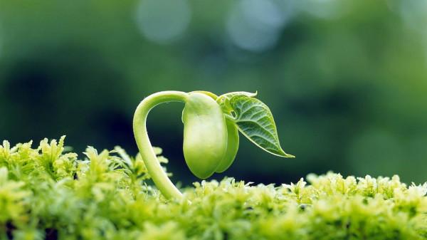 那些工作中不快樂的人，後來都怎麼樣了？