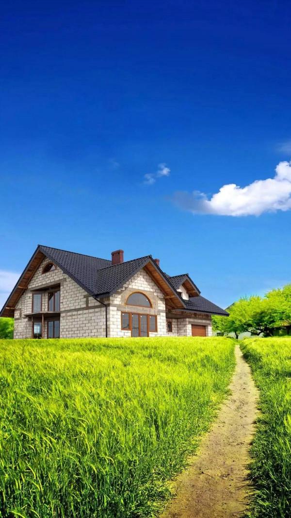 觀賞美麗的風景 觀賞美麗的風景