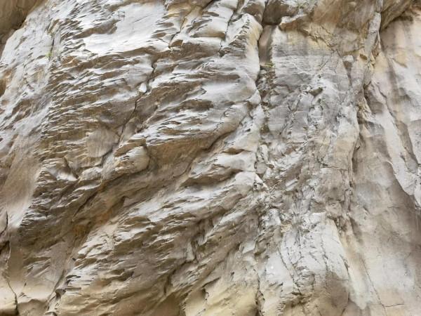 被水咬過的石頭 被水咬過的石頭