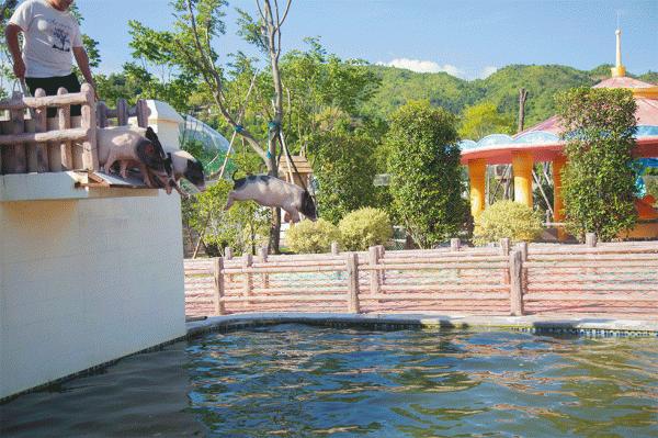 送!送!送!門票不限量免費送!奇幻魔術+神奇乾冰秀+炫酷火焰掌+特色美食!國慶假期來花樂園一起嗨翻天吧!附領票攻略~ 送!送!送!門票不限量免費送!奇幻魔術+神奇乾冰秀+炫酷火焰掌+特色美食!國慶假期來花樂園一起嗨翻天吧!附領票攻略~