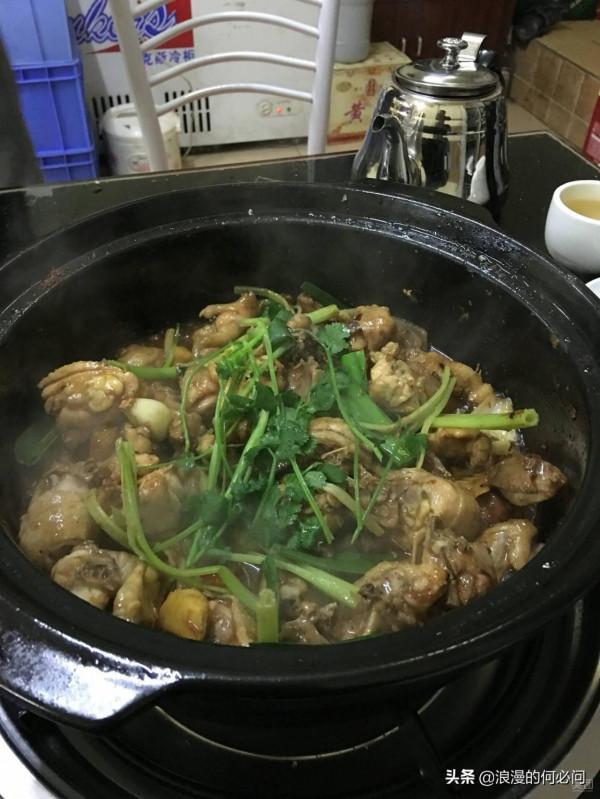 廣東雞的10種吃法,吃雞大吉大利,沒有一隻雞可以跑出廣東 廣東雞的10種吃法,吃雞大吉大利,沒有一隻雞可以跑出廣東