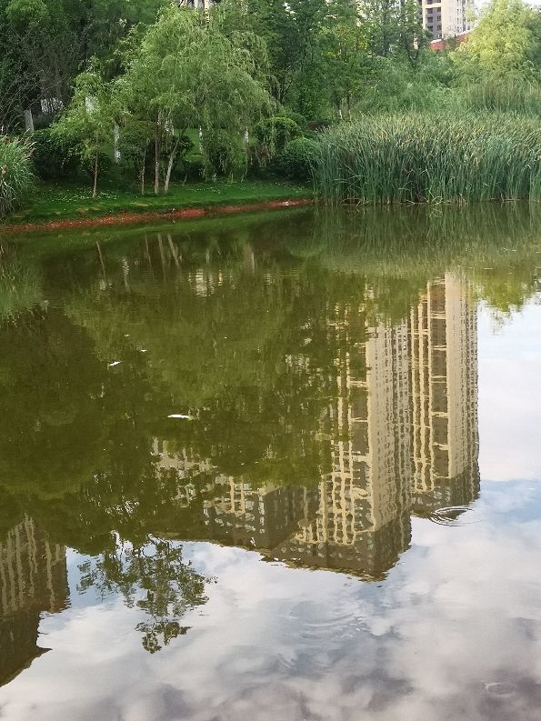 昆明聞一多公園：深遂歷史文化與幽靜景觀交融互動的休閒運動場所