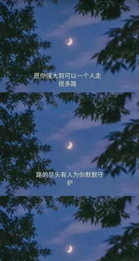 願目之所及,皆是暖意,心之所向,滿是陽光 願目之所及,皆是暖意,心之所向,滿是陽光