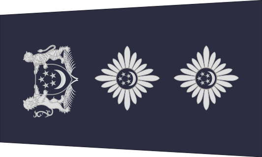 新加坡警銜標識