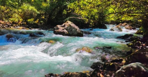 「鄧生溝」走進原始叢林·找尋秋的蹤跡 「鄧生溝」走進原始叢林·找尋秋的蹤跡