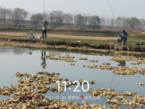 冬季魚類的致命誘惑，更換後果然立竿見影