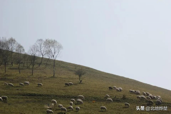分享一組關山牧場的原生態秋景 分享一組關山牧場的原生態秋景