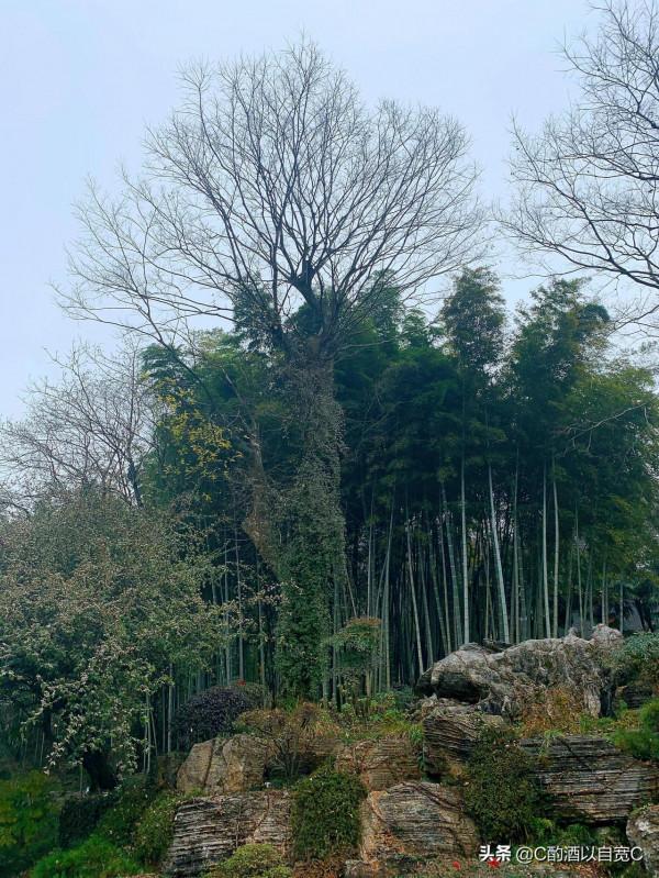 永泉農莊——銅陵的世外桃源