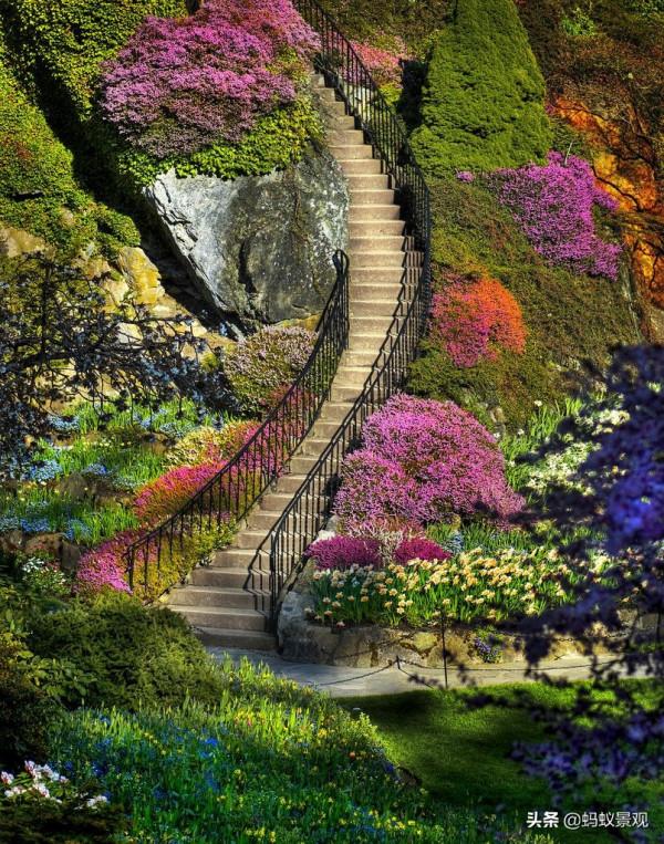 「景觀筆記178」一篇文章瞭解礦坑花園 「景觀筆記178」一篇文章瞭解礦坑花園