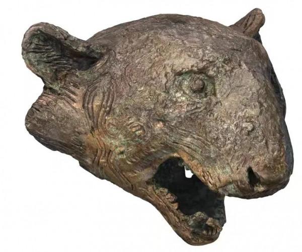 虎年說虎 &vert; 虎虎生福，雲南這些博物館的&OpenCurlyDoubleQuote;虎&rdquo;你愛了嗎？