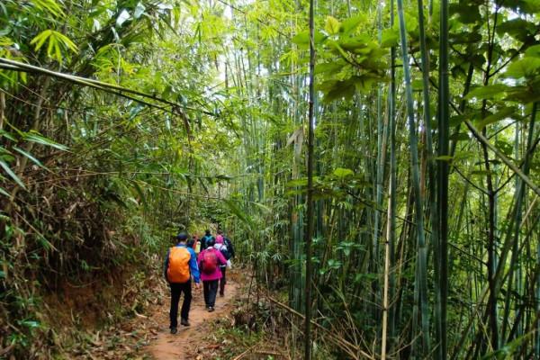 古水河徒步攻略｜當天來回-久在樊籠裡，復得返自然