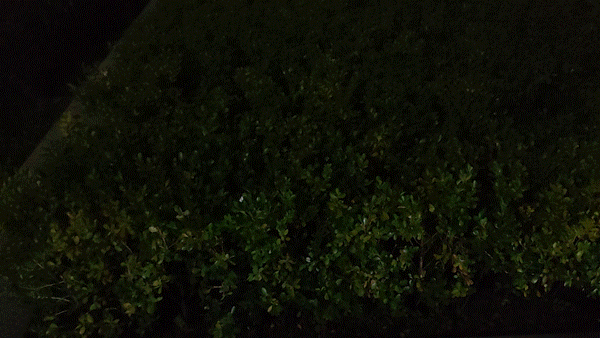 功能超強的手電：3D轉輪+無極調光+超高亮度，傲雷探索家3 Pro評測