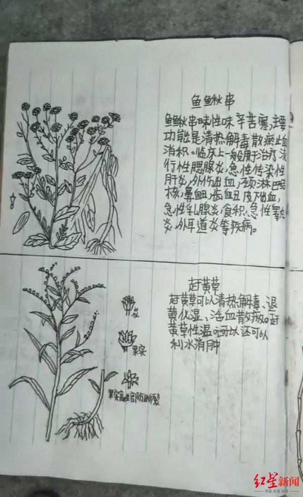 &OpenCurlyDoubleQuote;我的天才兒子？&rdquo;13歲兒子期末沒考好，父親從書包裡翻出一本手繪中草藥圖